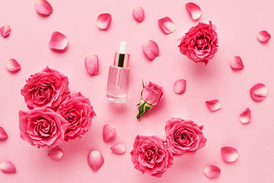 High angle view of pink roses on table