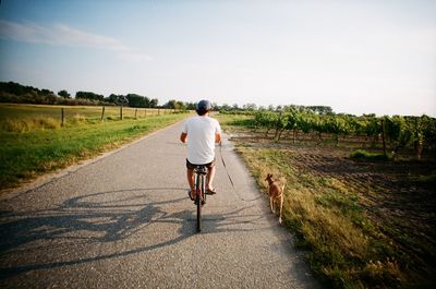 Rear view of man cycling with dog on road against sky