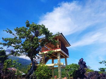 Low angle view of tree by building against sky