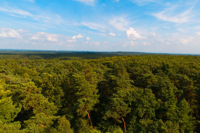 Scenic view of trees against sky