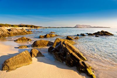 Scenic view of beach against blue sky