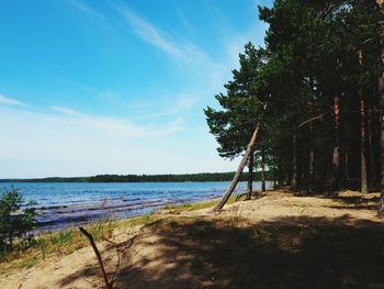 Scenic view of beach against sky