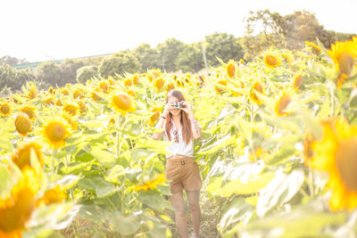 Yellow flowers on field