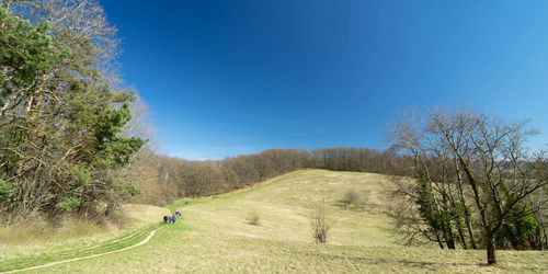 Scenic view of road amidst trees against blue sky