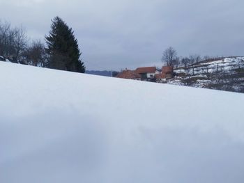 Snow covered trees against sky