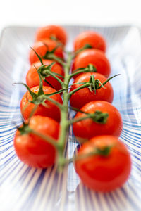Close-up of tomatoes on table