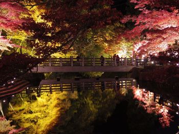 View of trees in park during autumn