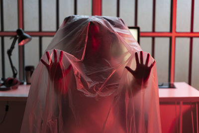 Rear view of woman with red umbrella