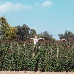 Plants by trees against sky