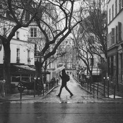 Man walking on bare tree in city
