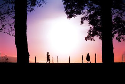 Silhouette people standing on tree against sky during sunset