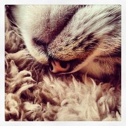 Full frame shot of tiled floor