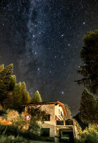 Trees and building against sky at night