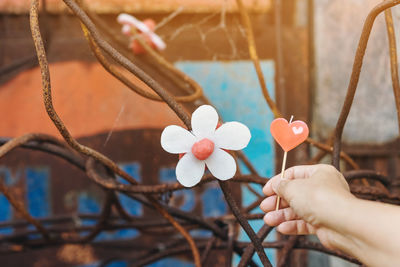 Close-up of hand holding decoration