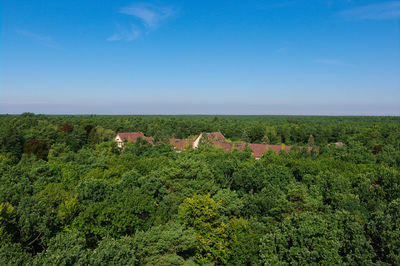 Beelitz-heilstätten view from treetrail