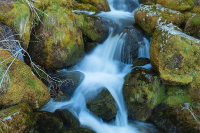 Stream amidst mossy rocks