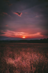 Scenic view of field against sky during sunset