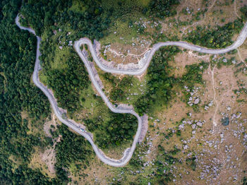 High angle view of road by trees