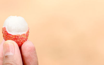 Close-up of hand holding fruit against white background