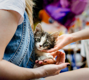 Midsection of woman with kitten