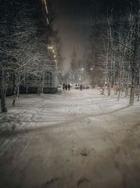 Snow covered trees in park at night