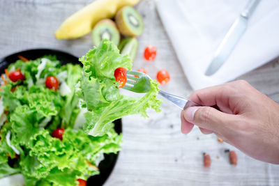 High angle view of hand holding vegetables