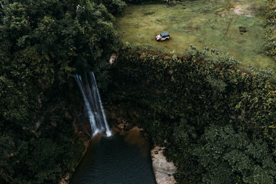 High angle view of trees and waterfall in forest 