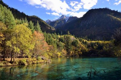 Scenic view of lake in forest against sky