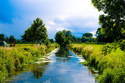 Scenic view of water flowing amidst trees against sky