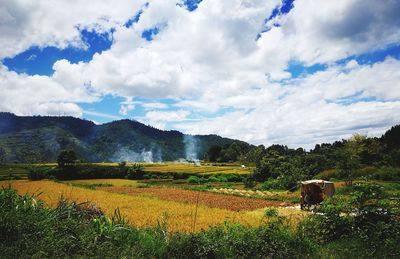 Scenic view of field against sky