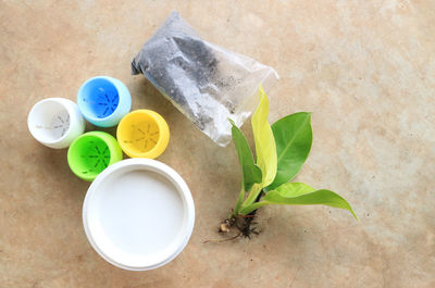 High angle view of vegetables and leaves on table