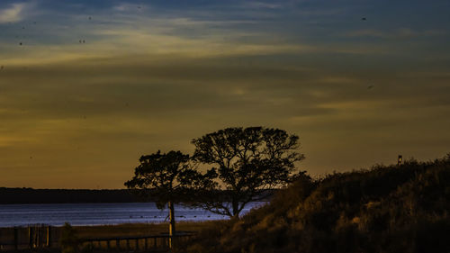 Silhouette trees against sky during sunset