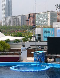 Swimming pool in city