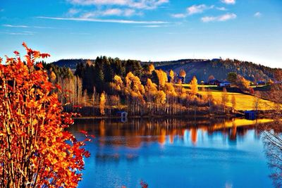 Scenic view of lake during sunset