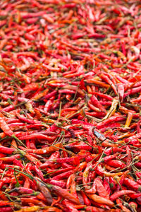 Full frame shot of red chili peppers