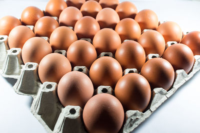 High angle view of eggs against white background