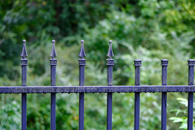 Close-up of metal fence on field