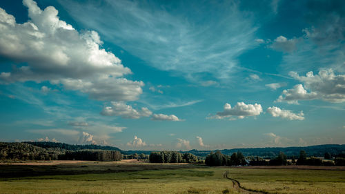 Scenic view of field against sky