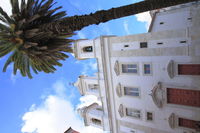 Low angle view of palm tree against building