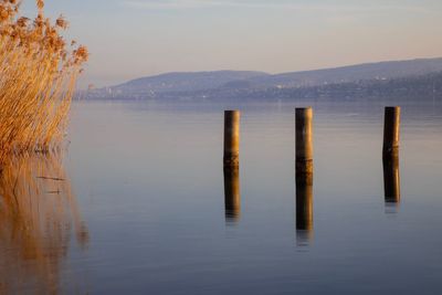 Wooden posts in lake against sky during sunset