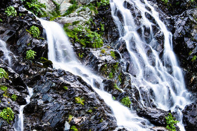 Scenic view of waterfall in forest