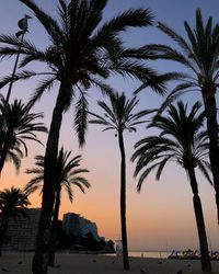 Silhouette palm trees against sky during sunset