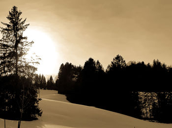 Silhouette of trees during sunset