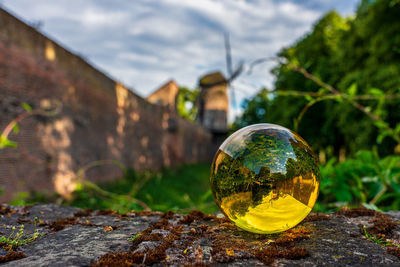 Close-up of glass on field against trees