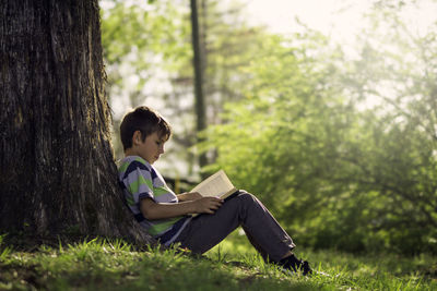 Boy sitting on wooden post