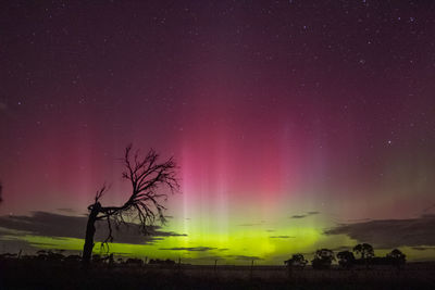 Scenic view of field against sky at night