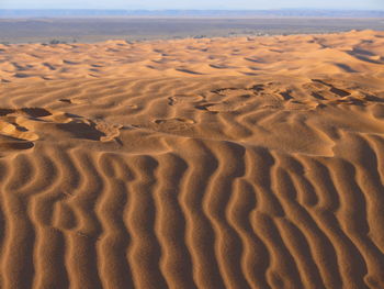 Scenic view of sand dune on beach