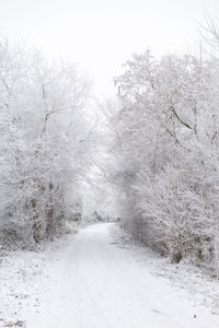 Snow covered landscape against sky