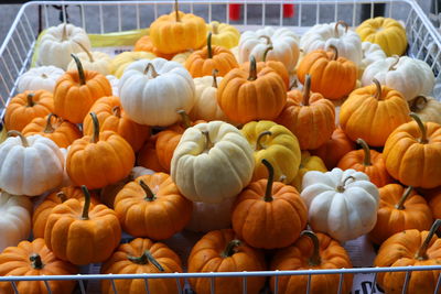 Close-up of pumpkins for sale