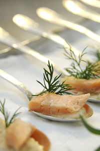 Close-up of salad in plate